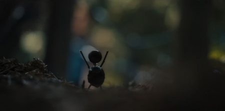 The-Chestnut-Man-1x01