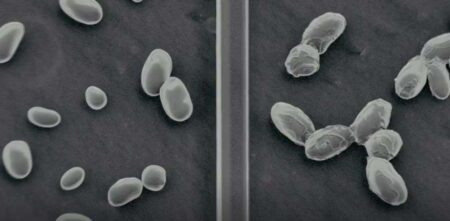 The Hot Zone 2x04 recensione