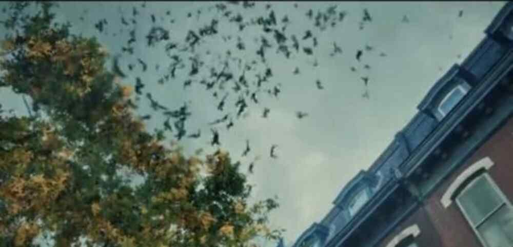 SERVANT 4x01 recensione