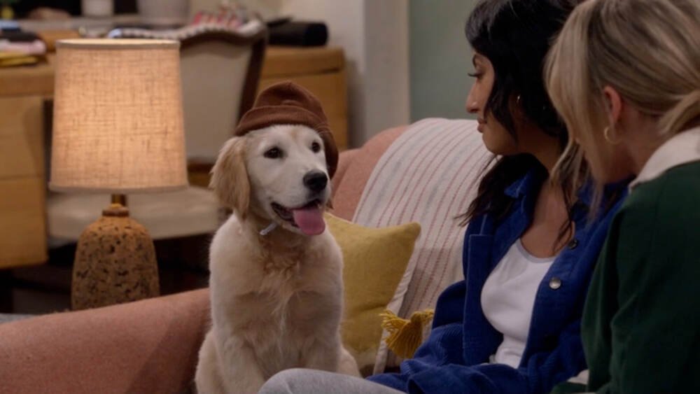 How I Met Your Father 2x14 recensione