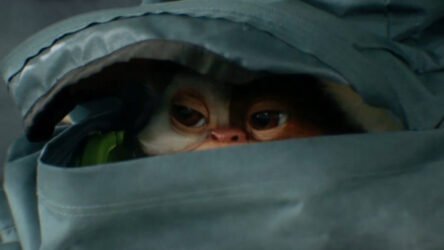 Gizmo in Gremlins, saga che tornerà al cinema con un nuovo film diretto da Chris Columbus nel 2028